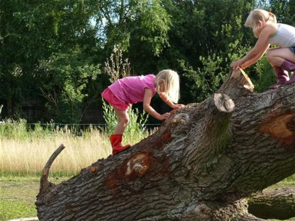 Eco - Touristfarm De Biezen