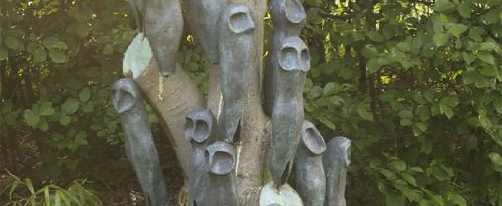 Eco - Touristfarm De Biezen