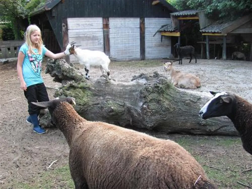 Eco - Touristfarm De Biezen
