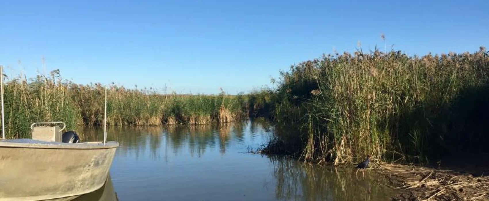 Narrung Ferry Campground