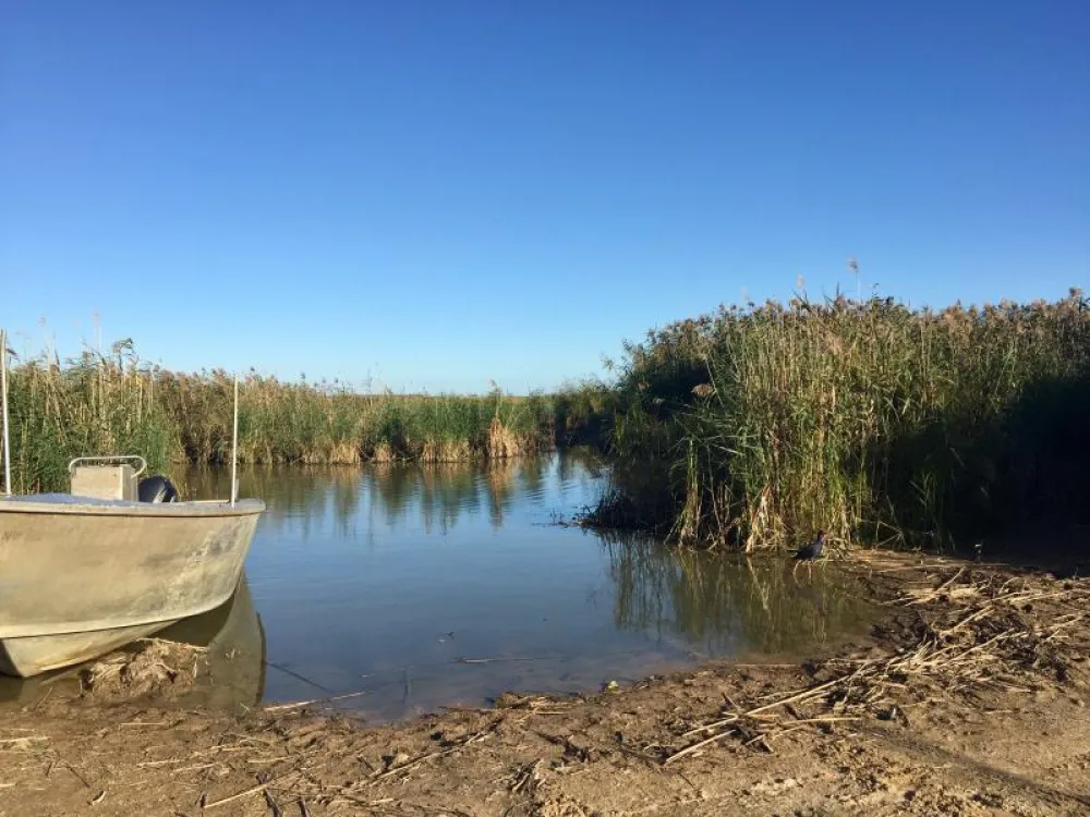 Narrung Ferry Campground