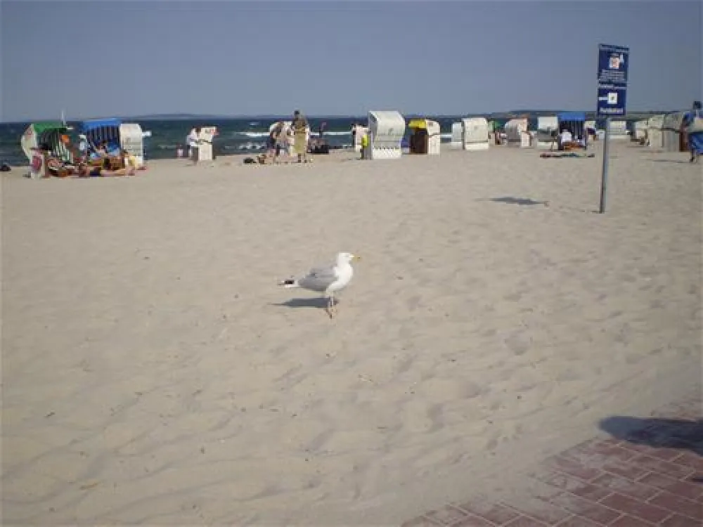 Campingplatz Triangel