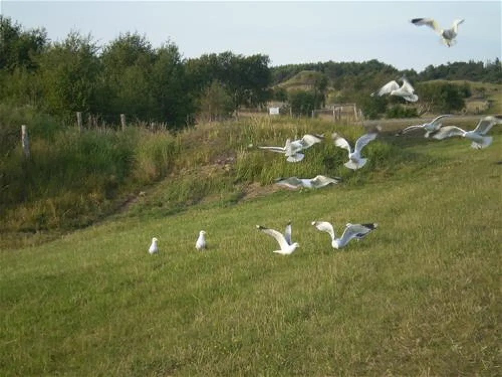 Campingplatz Triangel