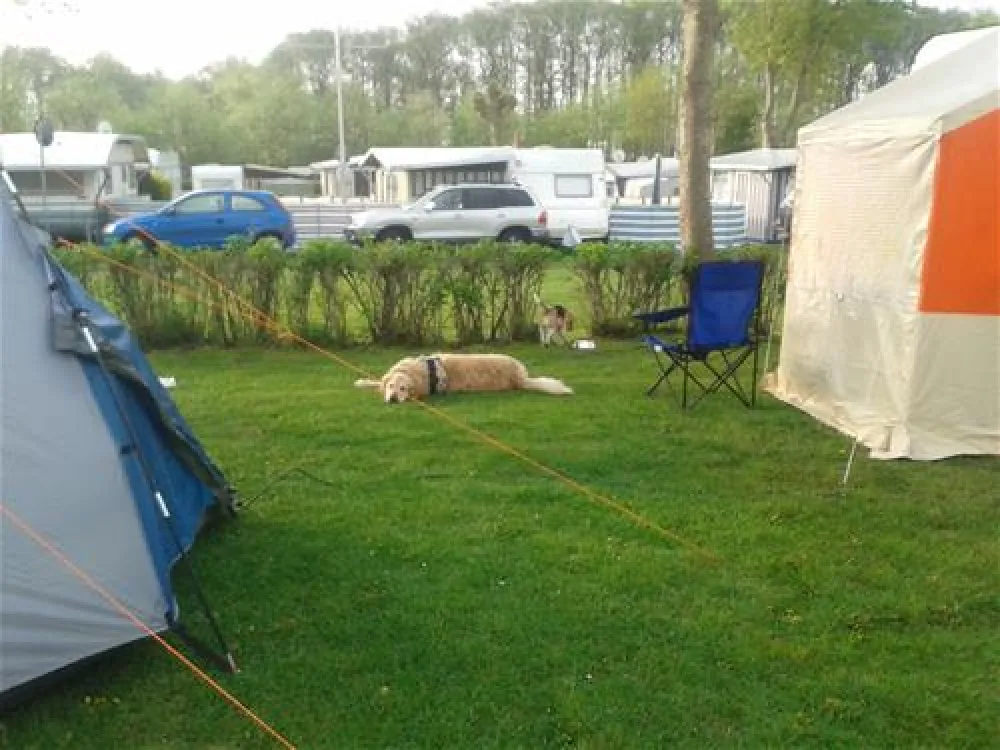 Campingplatz Triangel