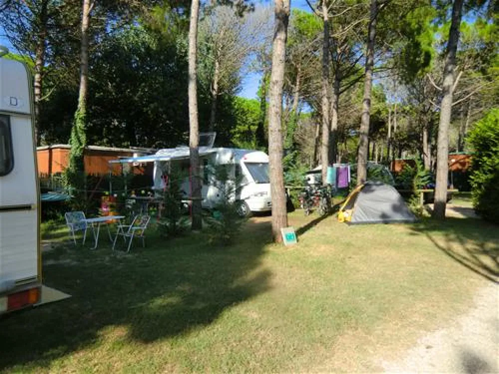 Camping Dune