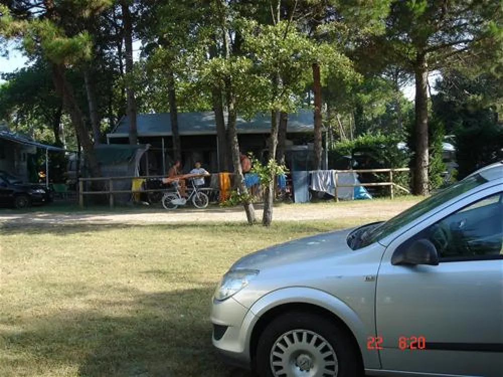 Camping Dune