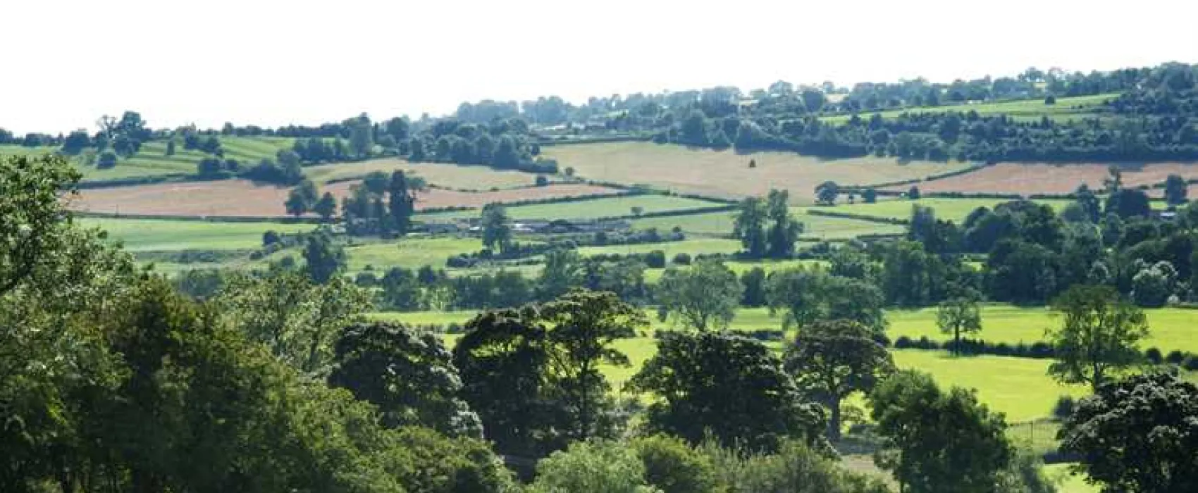 Callow Top Holiday Park