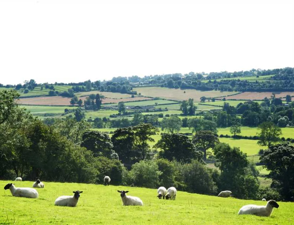 Callow Top Holiday Park