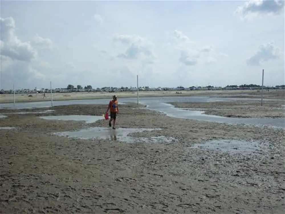 Strand- und Familiencampingplatz Bensersiel