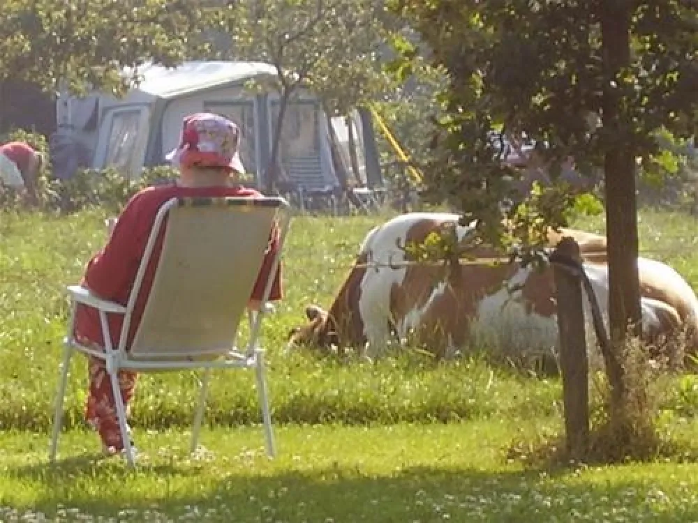 Camping De Ganzenhof