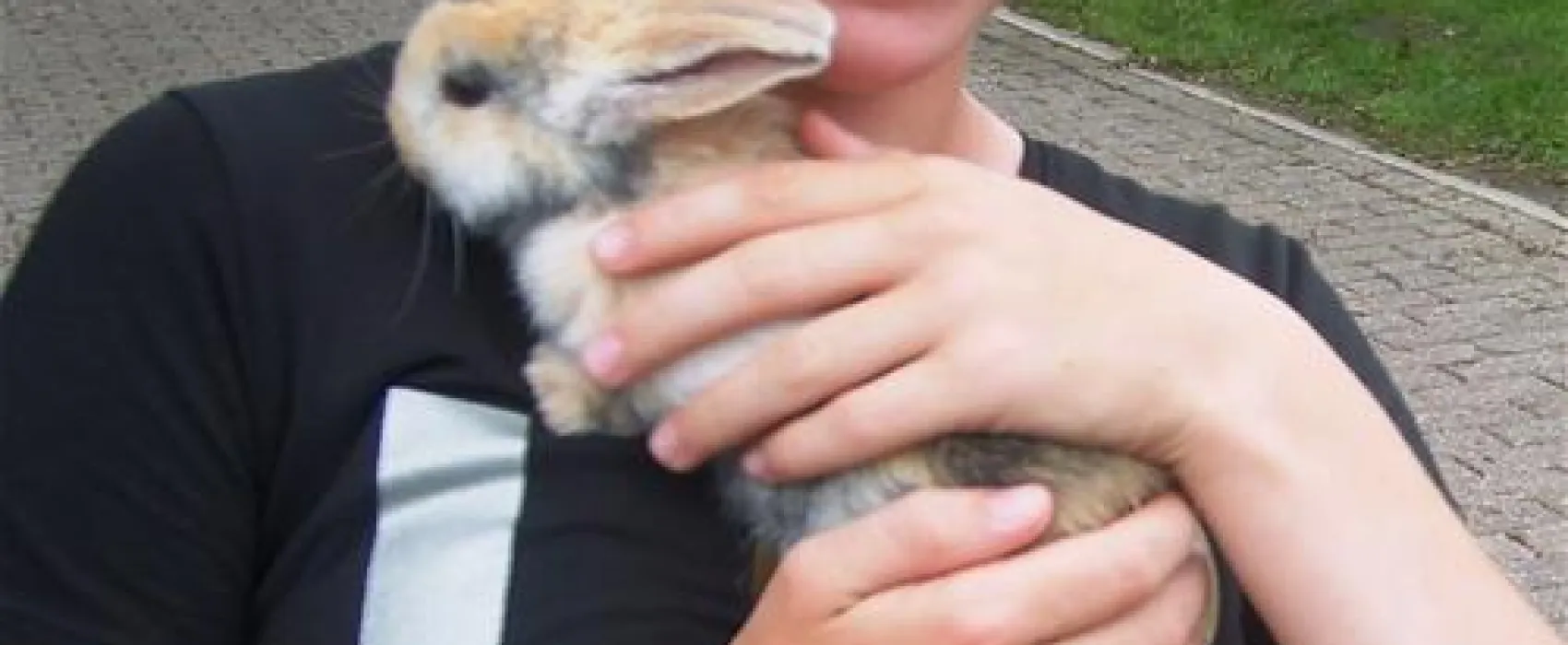 Camping De Ganzenhof