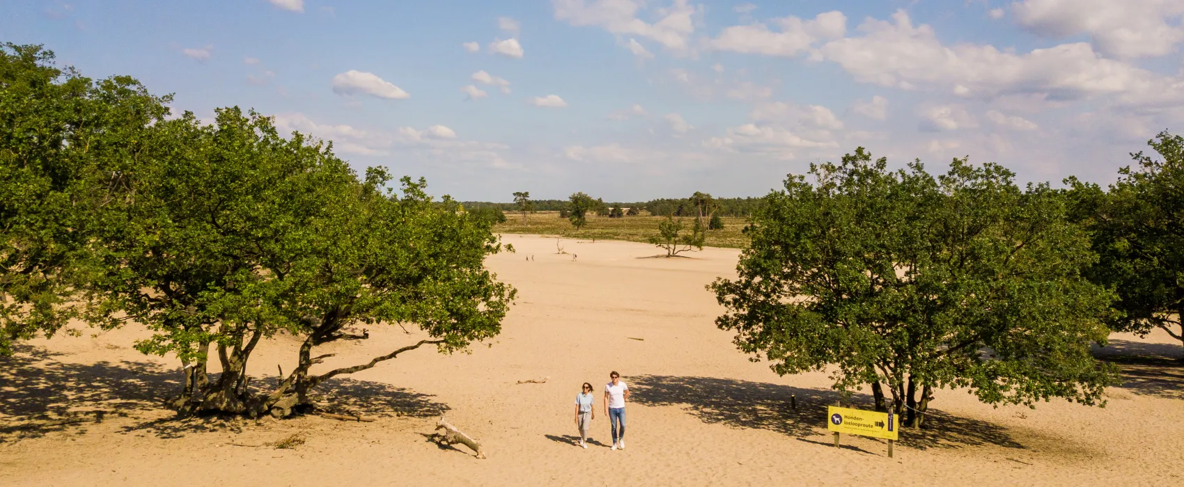 Recreatiepark Duinhoeve