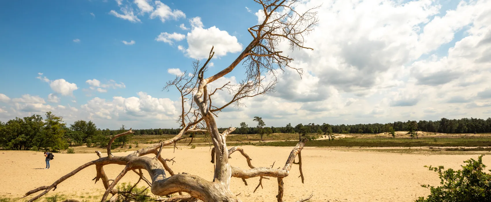 Recreatiepark Duinhoeve
