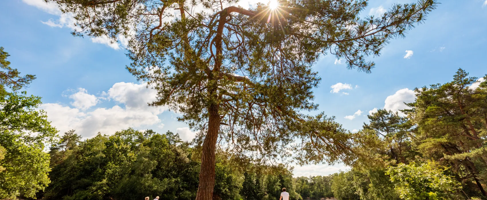 Recreatiepark Duinhoeve