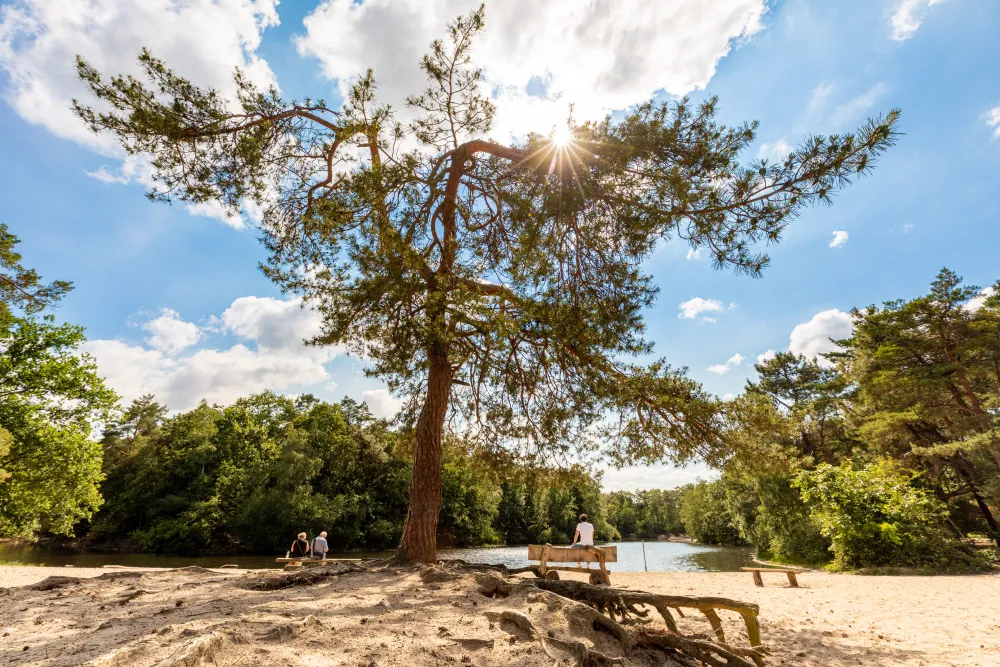 Recreatiepark Duinhoeve