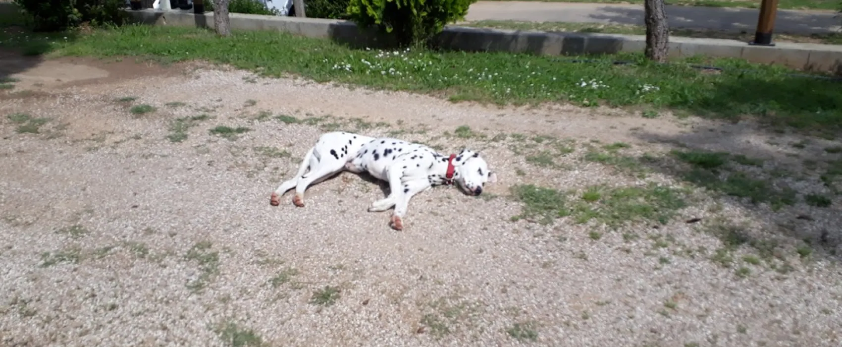 Camping Lago Barasona