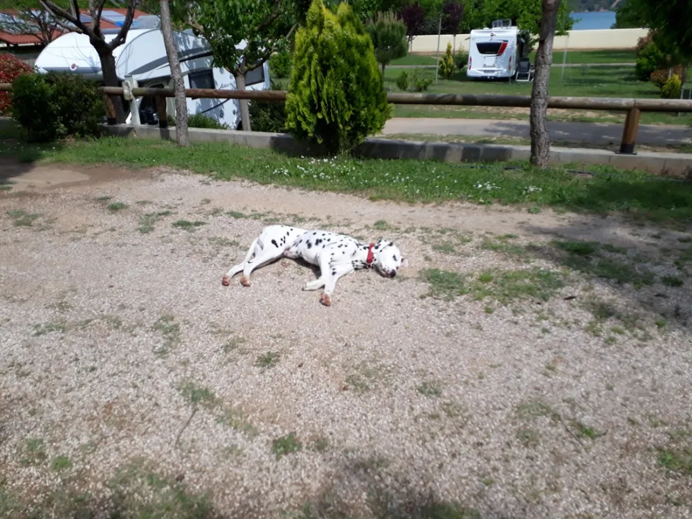 Camping Lago Barasona