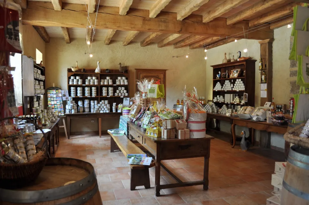 Camping Domaine De Barbe