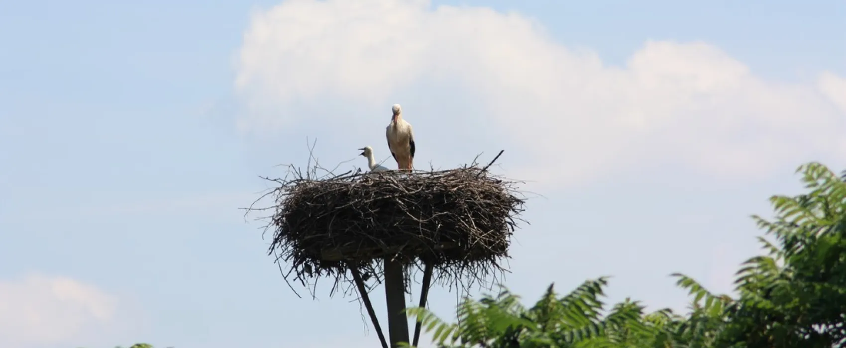 Camping am Oberuckersee