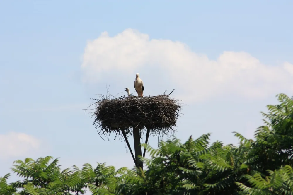 Camping am Oberuckersee