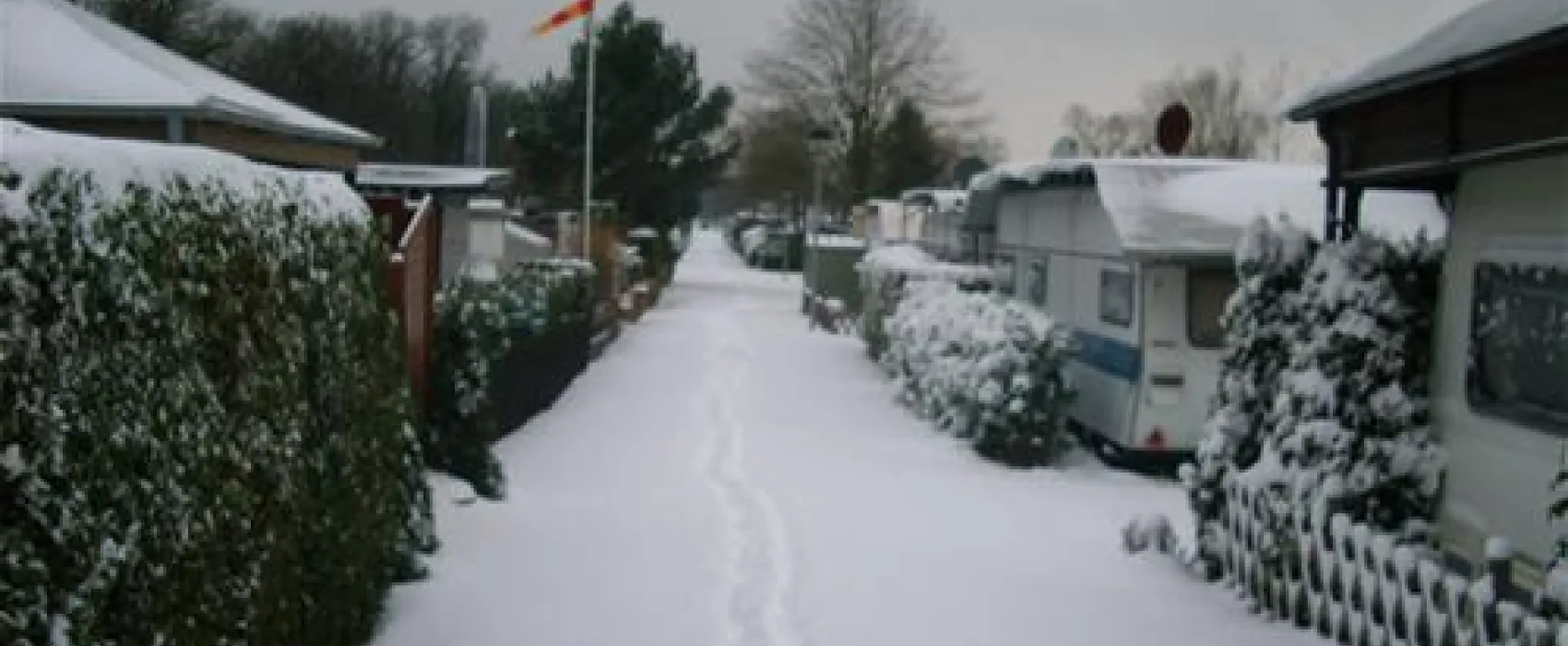 Camping Municipal Les Bords du Rhin (Salmengrund)