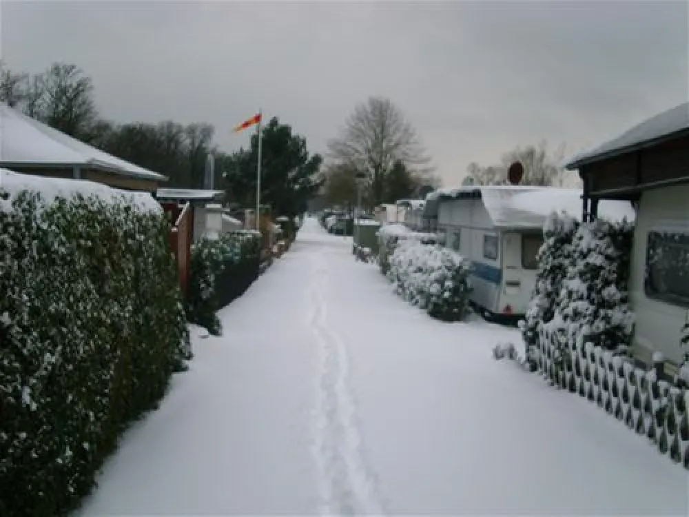 Camping Municipal Les Bords du Rhin (Salmengrund)