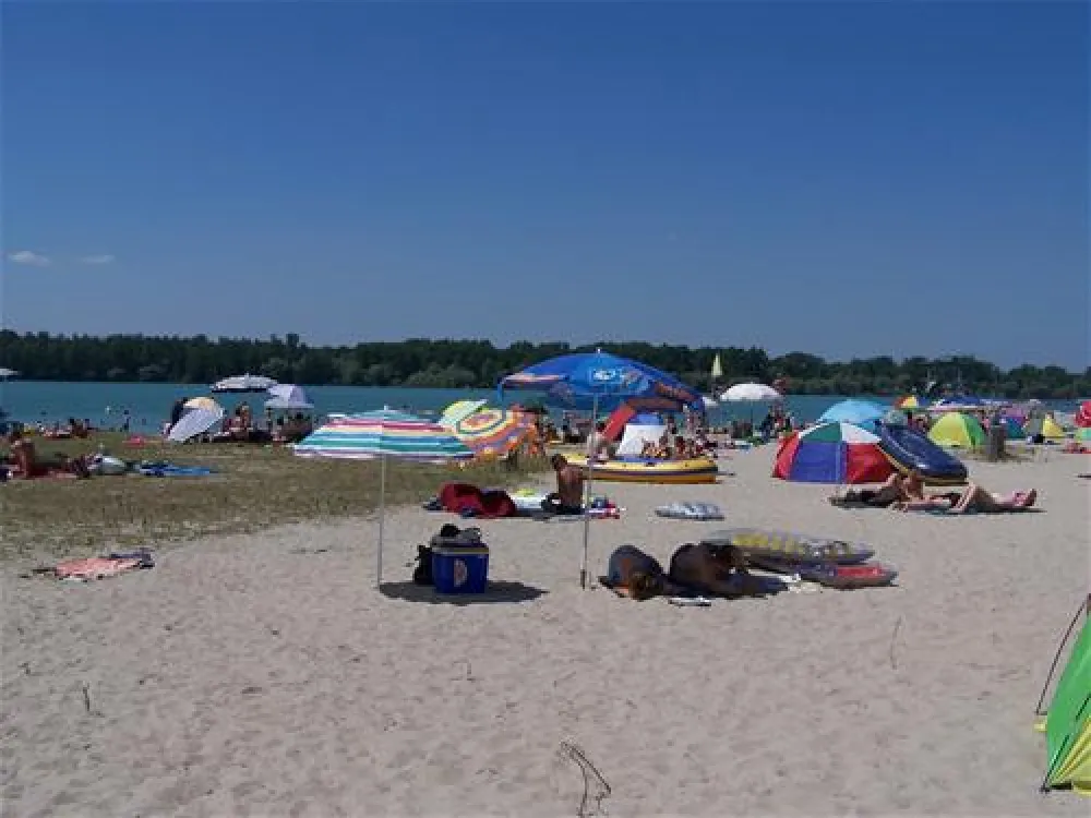 Camping Municipal Les Bords du Rhin (Salmengrund)
