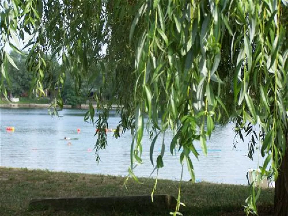 Camping Municipal Les Bords du Rhin (Salmengrund)