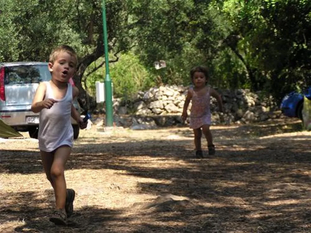 Camping Pod Maslinom