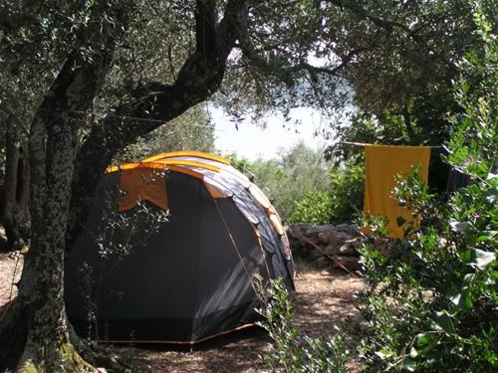 Camping Pod Maslinom