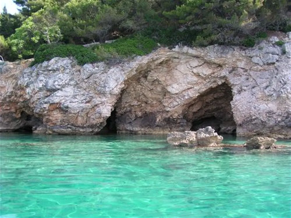 Camping Pod Maslinom