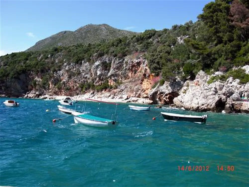 Camping Pod Maslinom