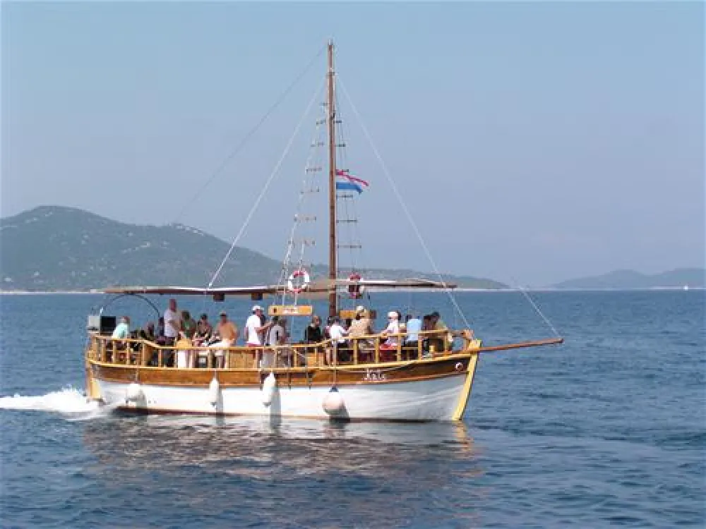 Camping Pod Maslinom