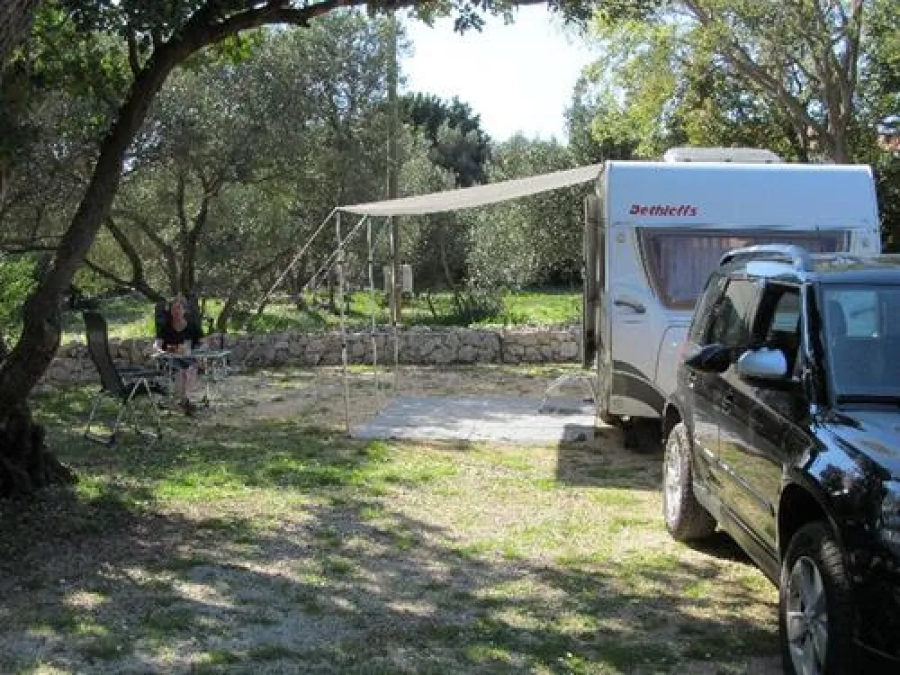 Camping Pod Maslinom