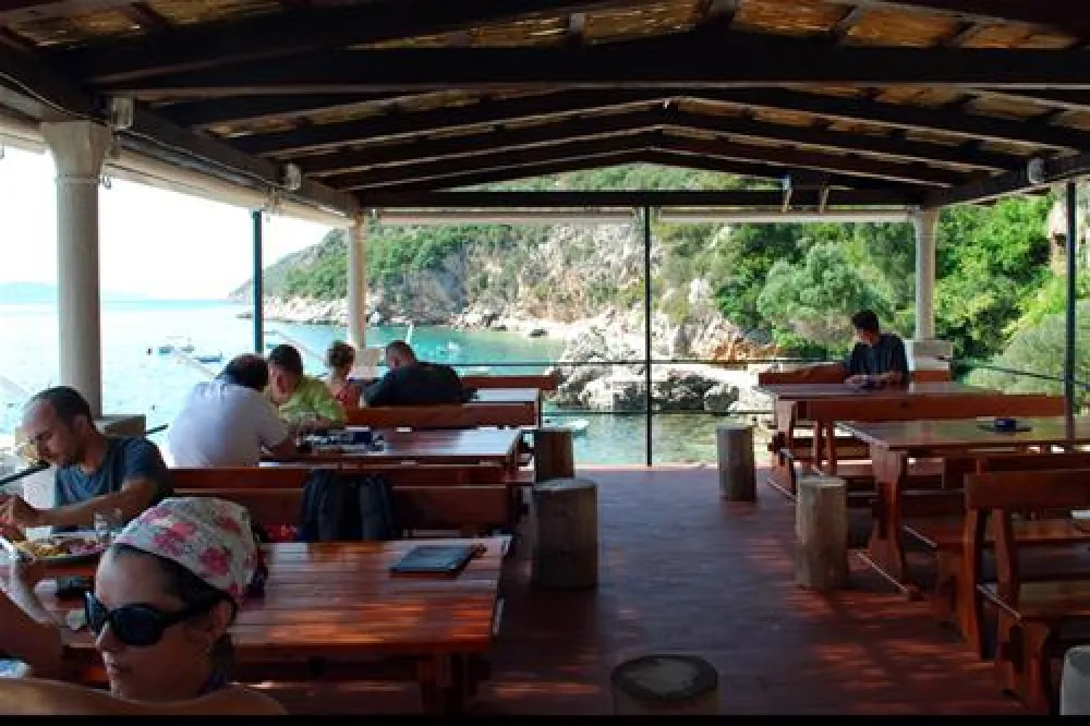 Camping Pod Maslinom