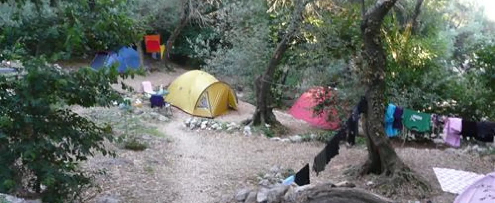 Camping Pod Maslinom