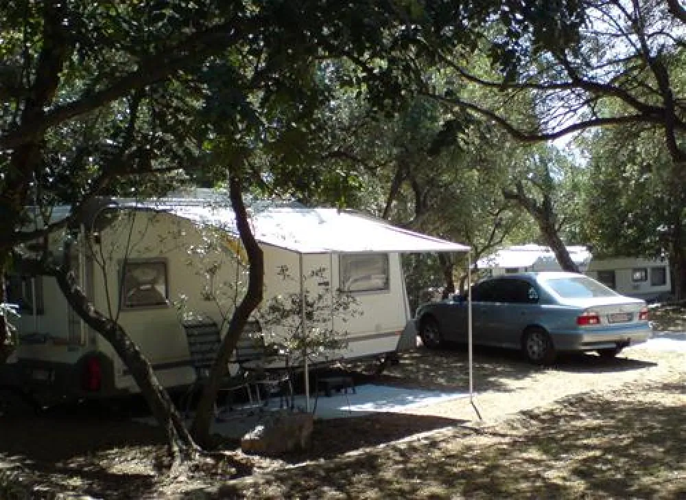 Camping Pod Maslinom