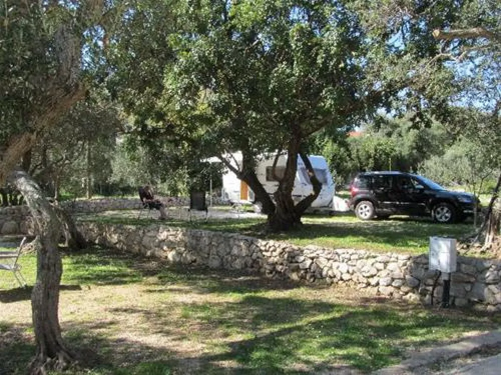 Camping Pod Maslinom