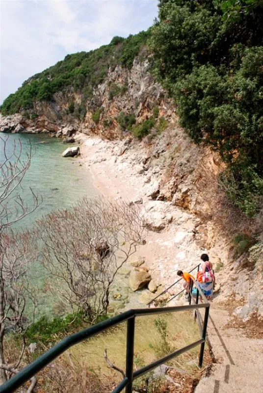 Camping Pod Maslinom