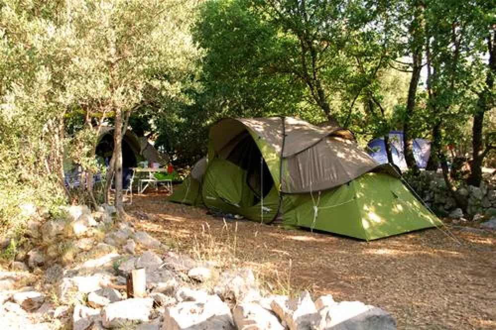 Camping Pod Maslinom