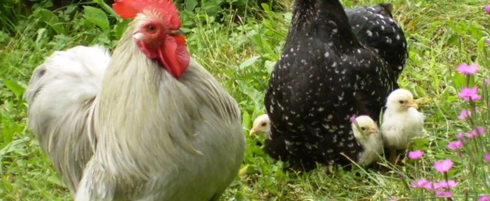 Camping Val en Theze  