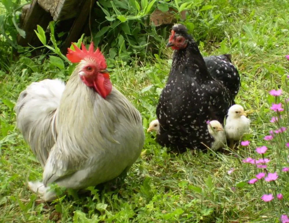 Camping Val en Theze  