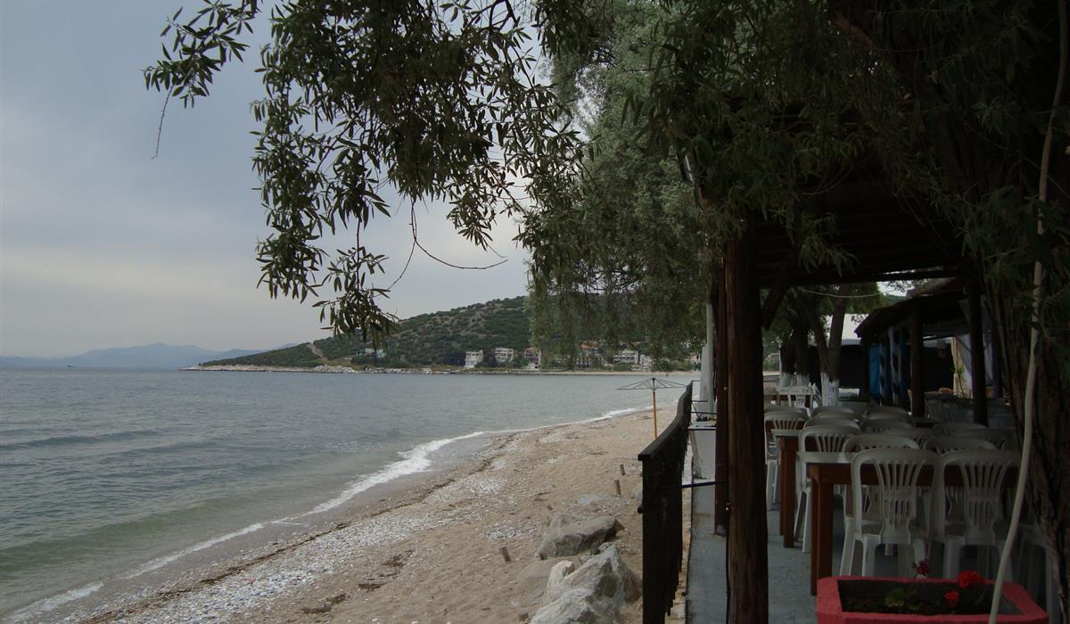 Camping Alexandros photo 4