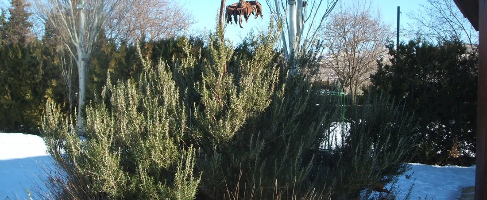 Camping Veruela Moncayo