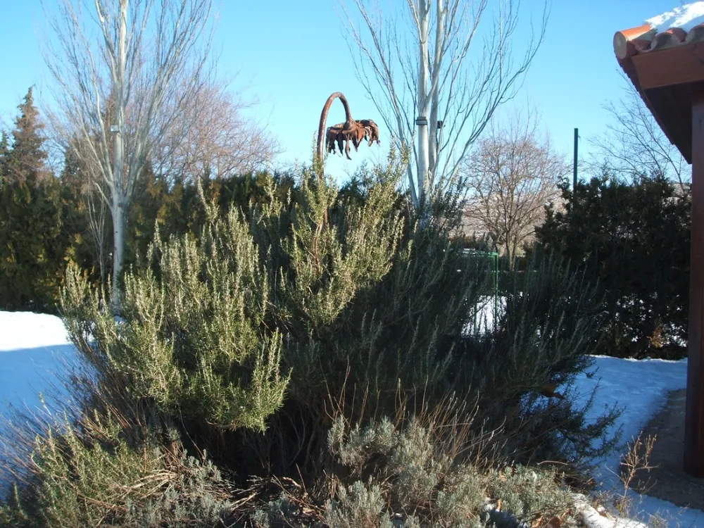 Camping Veruela Moncayo