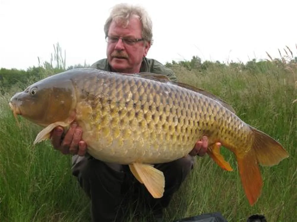 Recreatiepark Ermerstrand