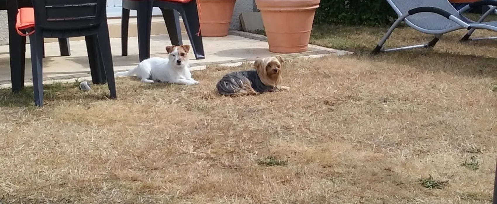 Parc Residentiel De Loisirs La Lande Du Belier