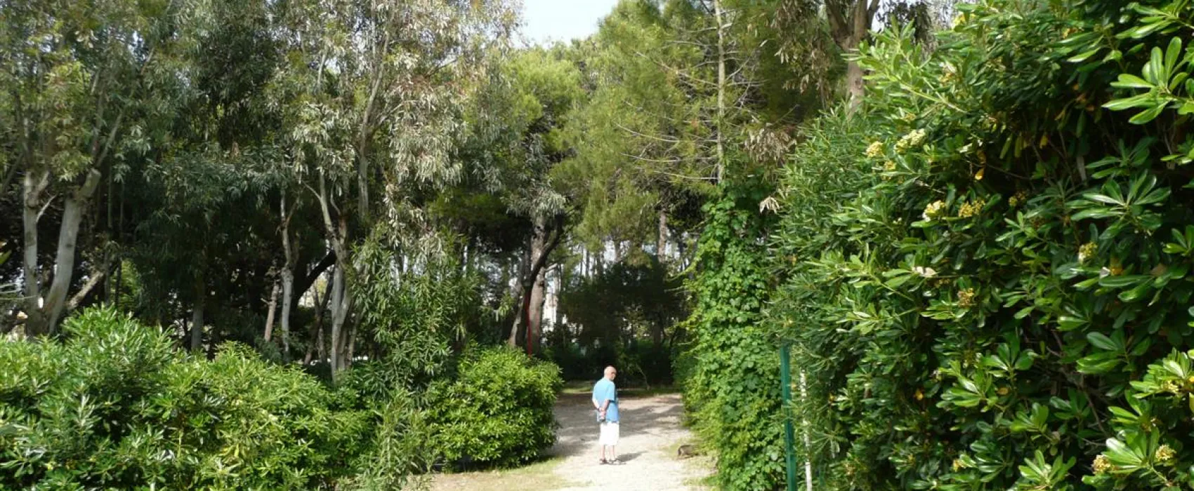 Campeggio Villagio dei Pini