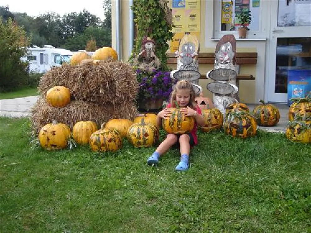 Thermenland Camping Rath und Pichler