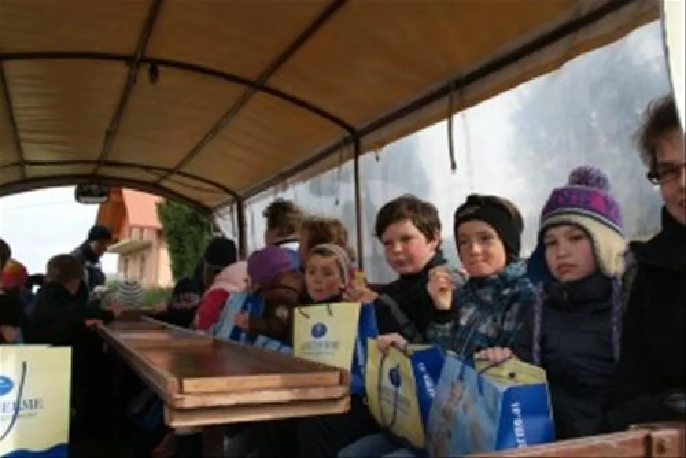 Thermenland Camping Rath und Pichler